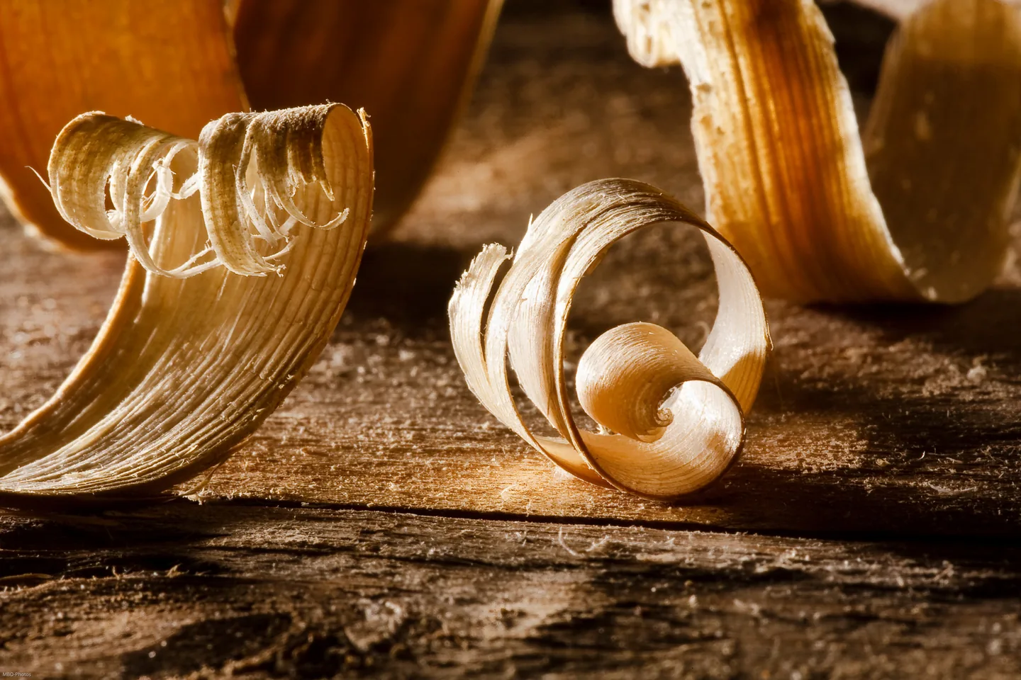 Photo de couverture de Menuiserie sur mesure à Toulouse, Menuisier à Toulouse